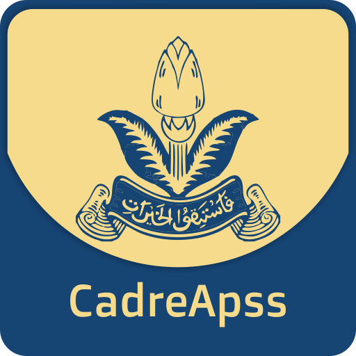 Cadre Aps